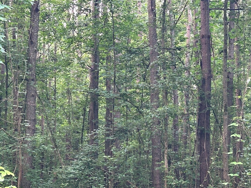 0 West Ave unit 10182081, Bowdon, GA 30108 - photo 1