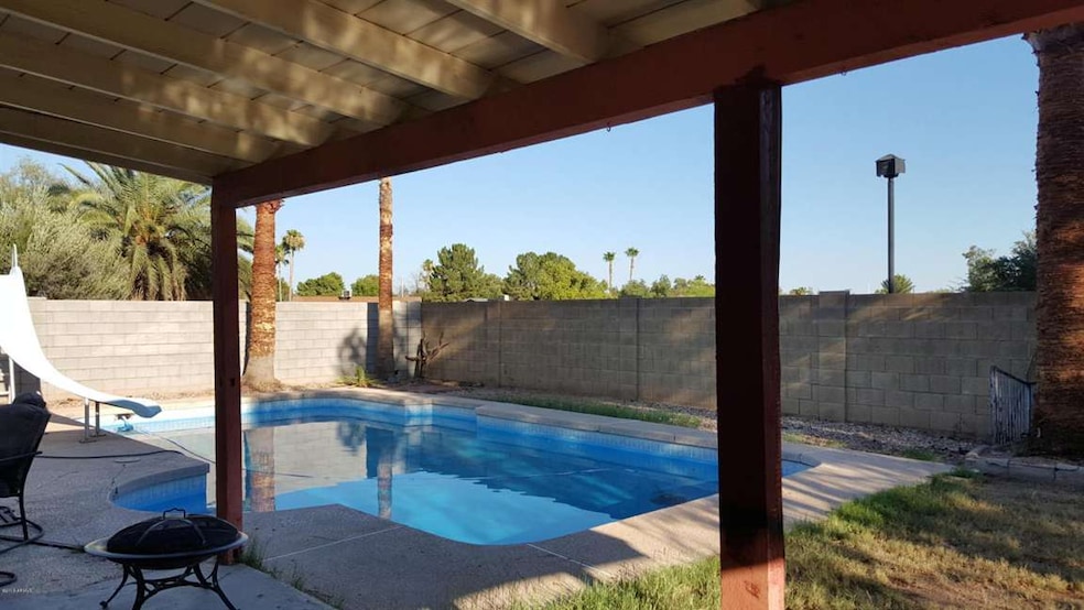LOSLAGOSBACKYARD