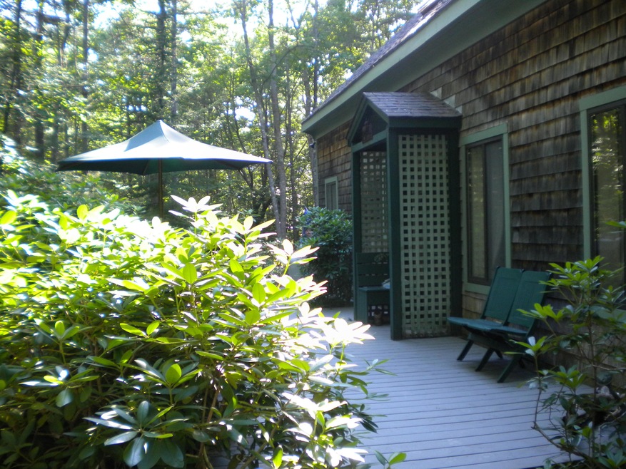Summer Back Deck