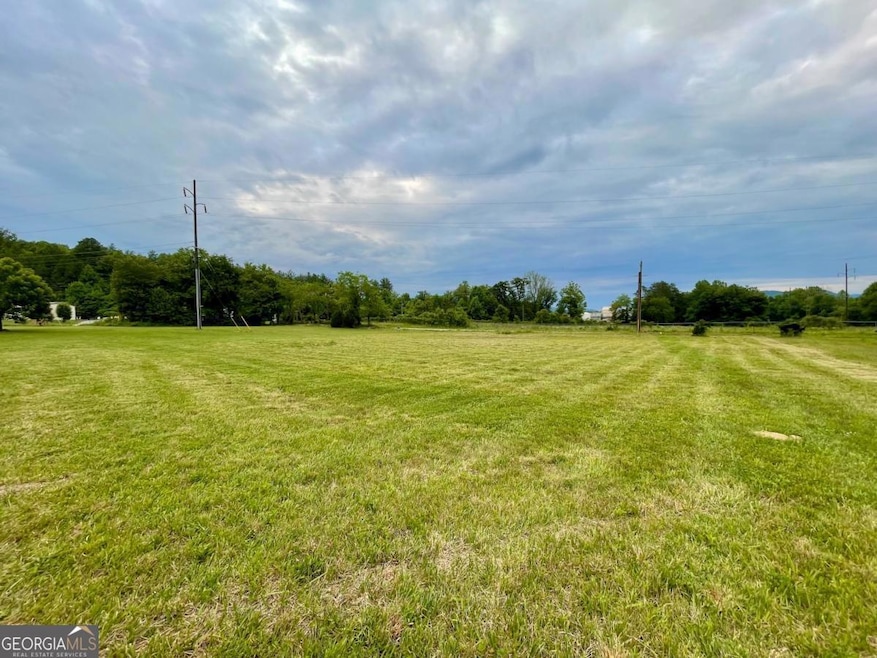 0 Stella Ln unit 10485082, Rabun Gap, GA 30568 - photo 1