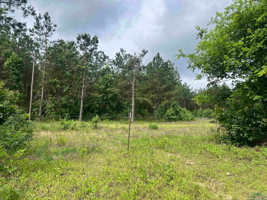 View of tree filled area