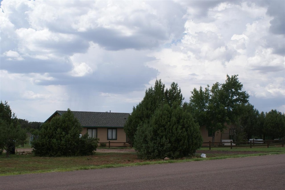 Primary Photo