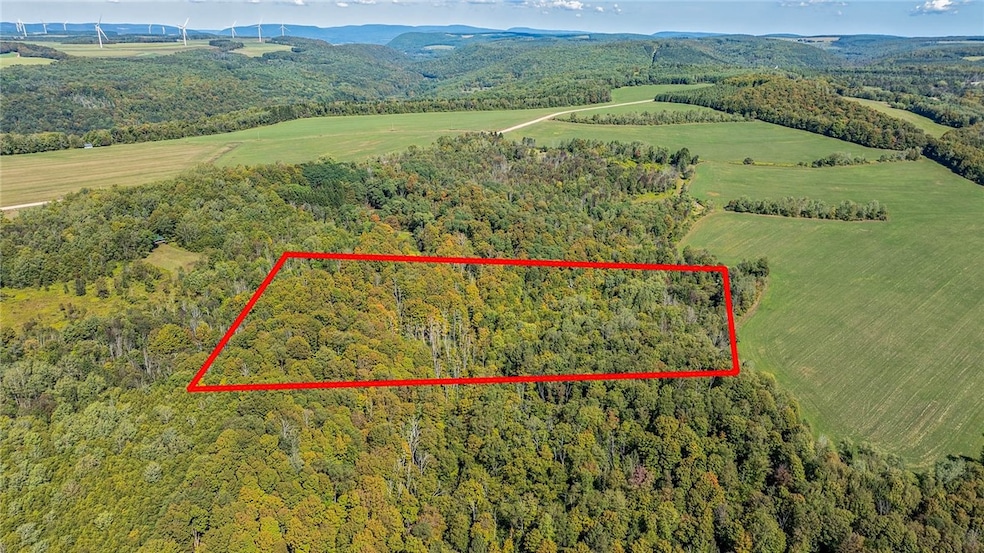 10373 Lookout, Prattsburgh, NY 14873 - photo 1