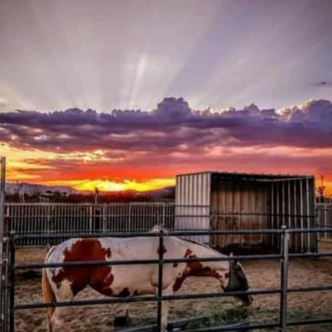 58562 Applegate Way, Landers, CA 92285 - photo 1