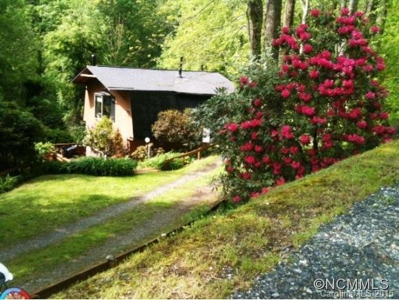 Beautiful Rhodedendrons!
