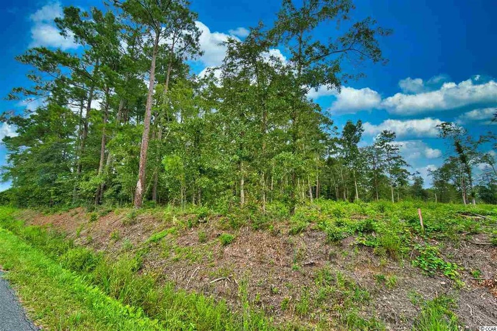 TBD Tract A S Carolina 19, Loris, SC 29569 - photo 1