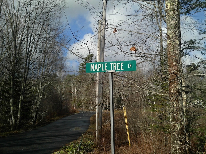 18 Maple Tree