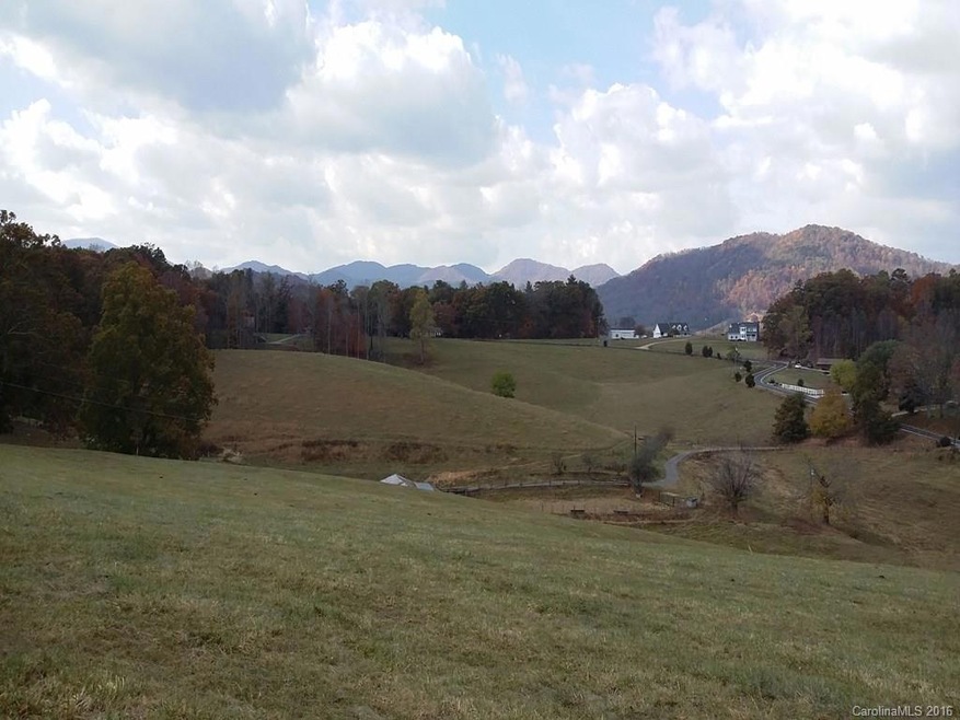 00 Old Newfound Rd, Leicester, NC 28748 - photo 1