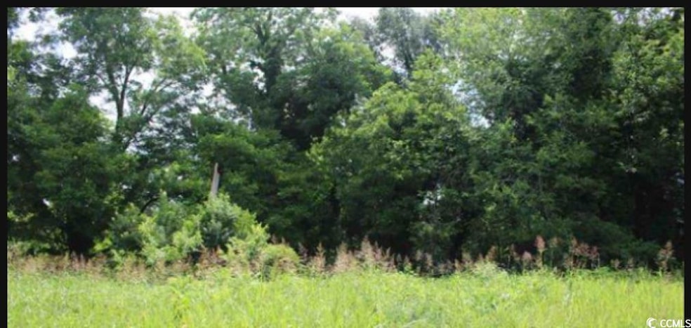 View of nature