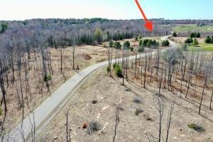 Sold $75,000 • Co-Listing Agent