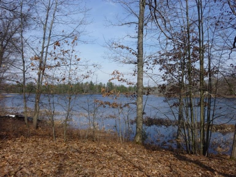 10738 N Beaver Trail, Bitely, MI 49309 - photo 1