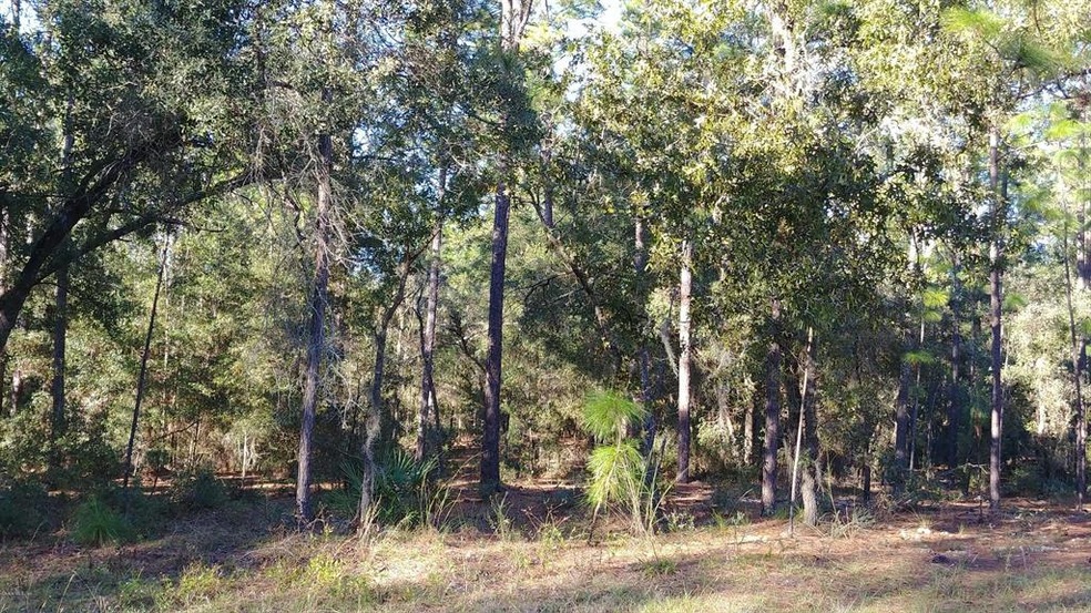 0 SW 93rd Lane Rd unit 516240, Dunnellon, FL 34432 - photo 1