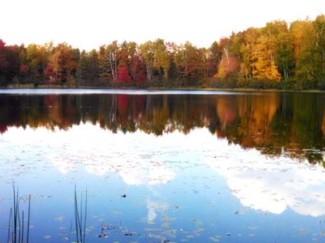 8 Acres Duck Ln, Deerbrook, WI 54424 - photo 1