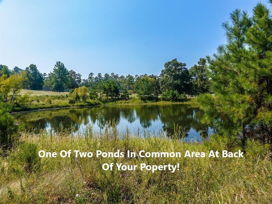 141 N Forest Dr, Huntsville, TX 77340 - photo 1