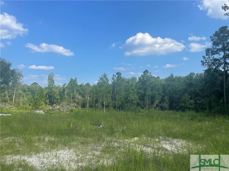 Potential location of home site cleared