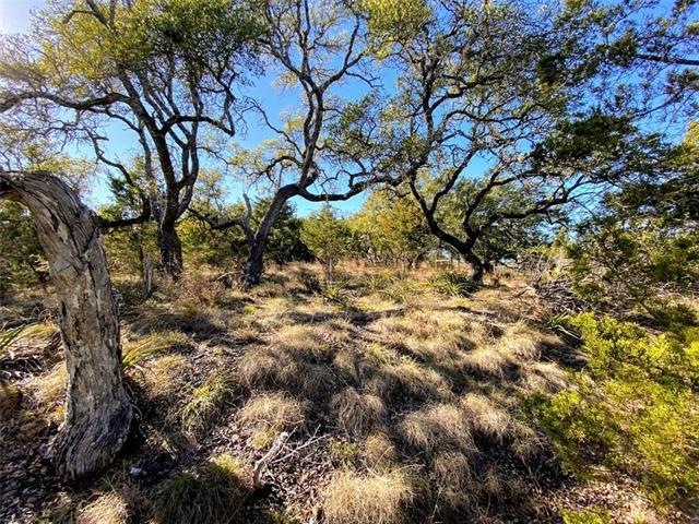 Sold • Co-Listing Agent