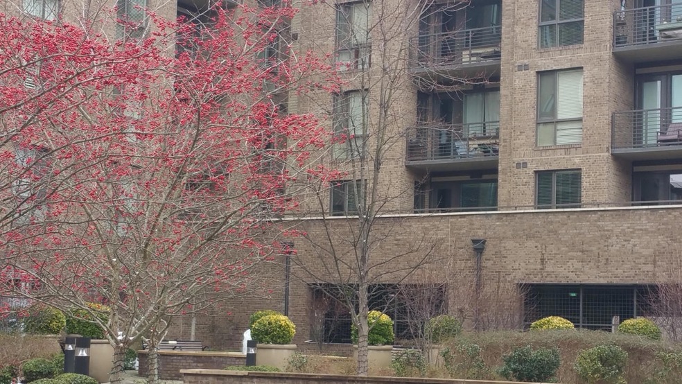20150224_123845 (1280x720)