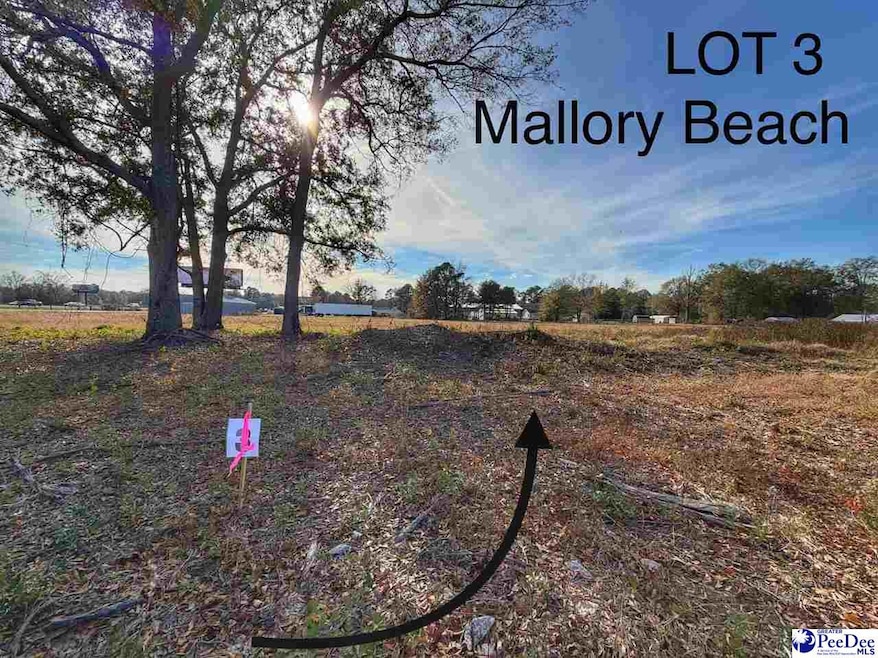 Lot 3 Mallory Beach Rd, Latta, SC 29565 - photo 1