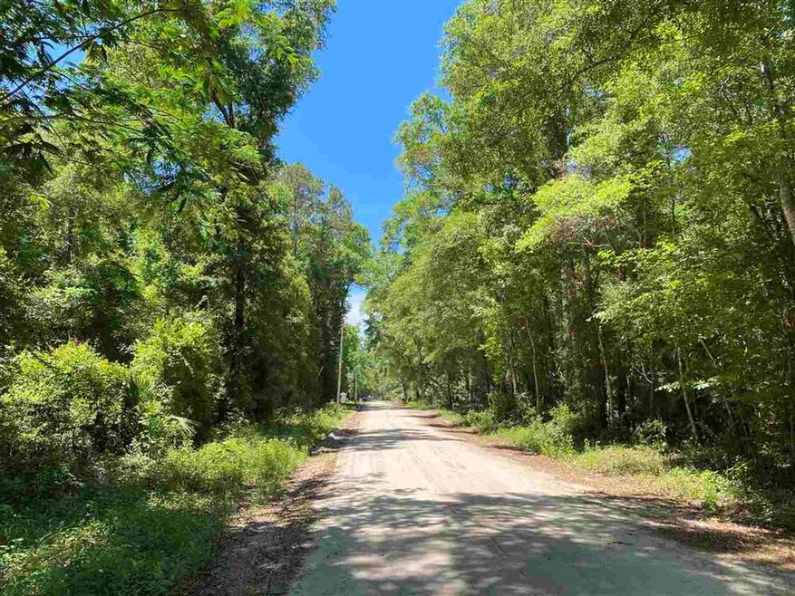 Lot 28 Stratton Ln, Crawfordville, FL 32327 - photo 1