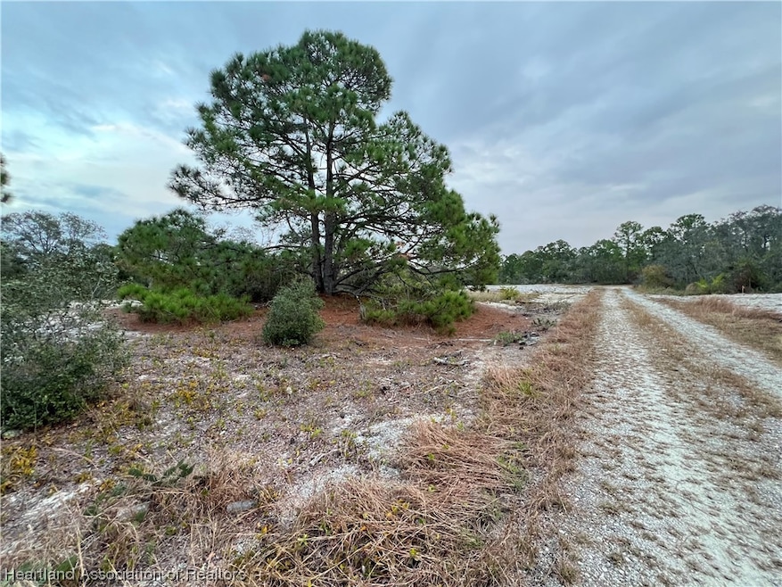 605 Avalon Ln, Lake Placid, FL 33852 - photo 1