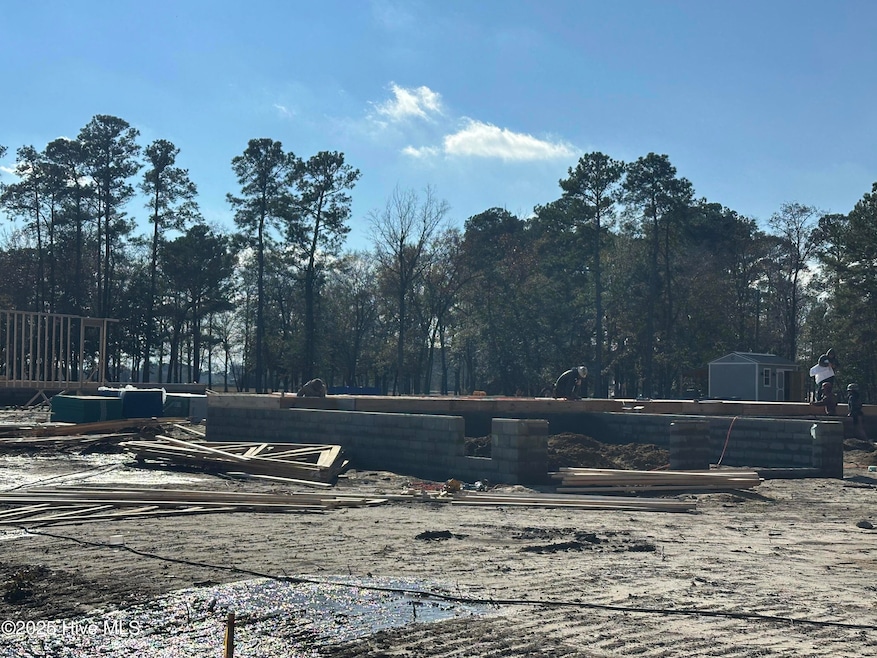 106 Amblewood Ln, Goldsboro, NC 27534 - photo 1