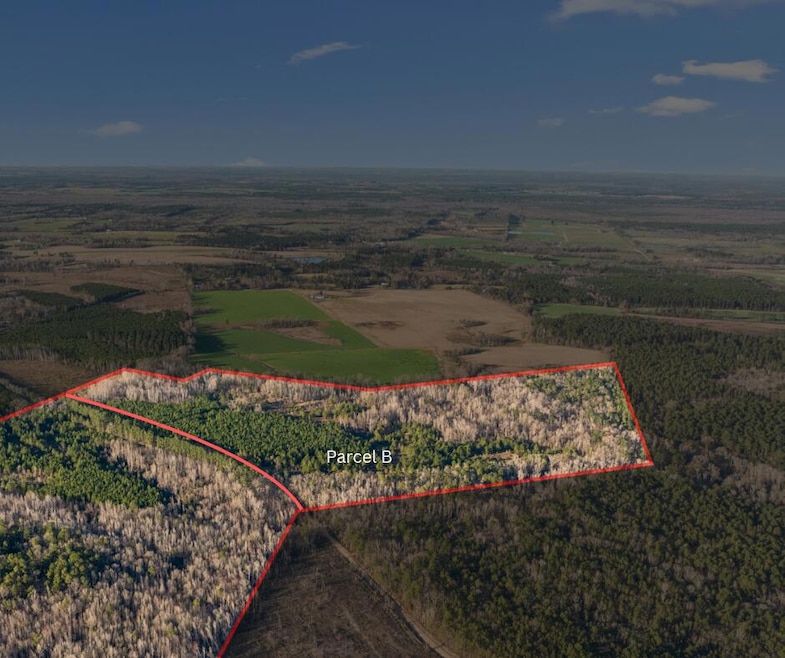 0 Thomas Rd unit 549544, Millen, GA 30442 - photo 1