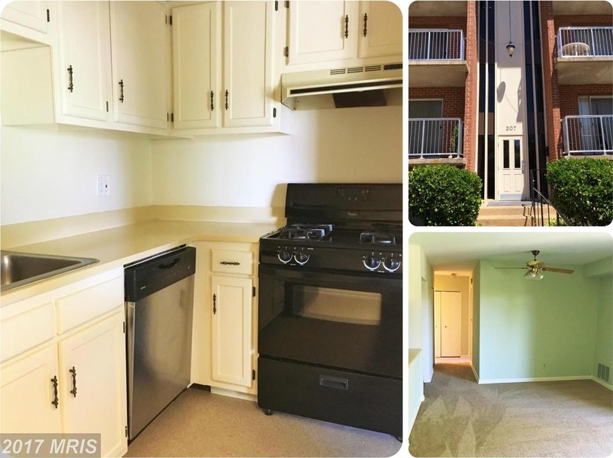 207 Erin Way unit 303, Reisterstown, MD 21136 - photo 1