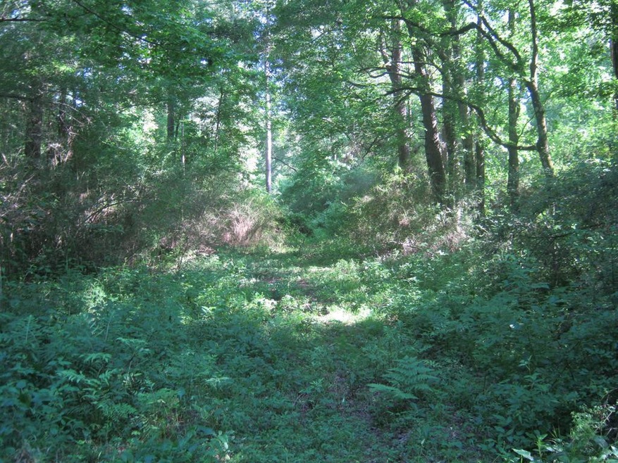 000 Log Cabin Rd, Tylertown, MS 39667 - photo 1