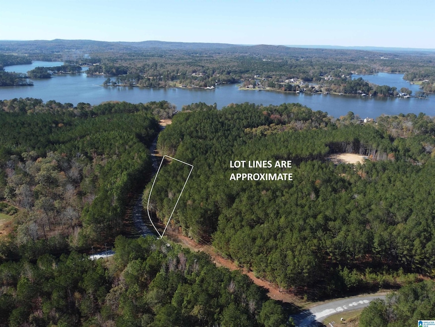 Lot 221 Shore Side Ln, Sylacauga, AL 35151 - photo 1