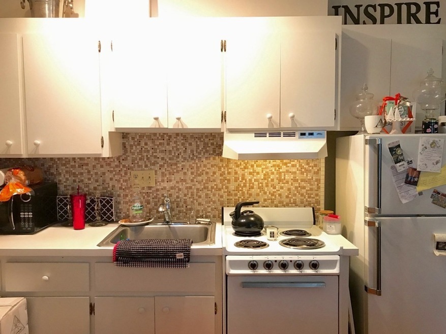 194 W Brookline St unit 3, Boston, MA 02118 - photo 1