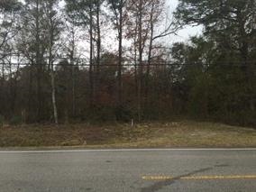 xx Coastal Hwy, Crawfordville, FL 32327 - photo 1