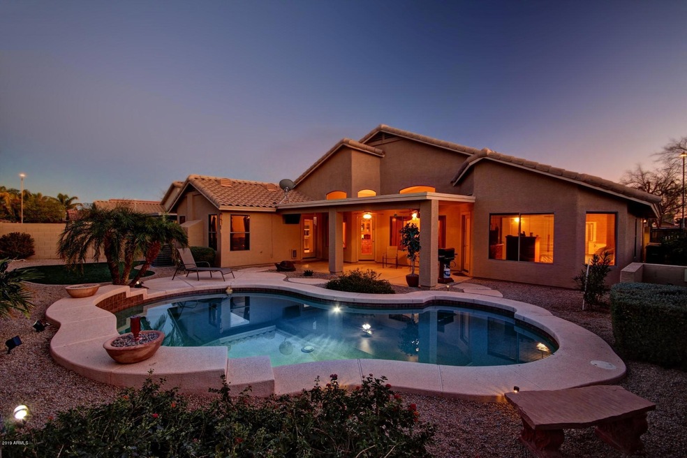 Backyard Oasis