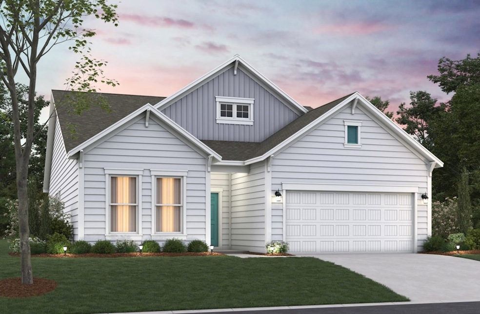 Coastal D Elevation