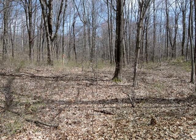 56 Woodlands Trail, Clinton, NY 12514 - photo 1