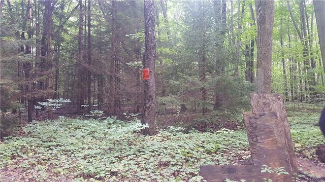 This is a view of the property.