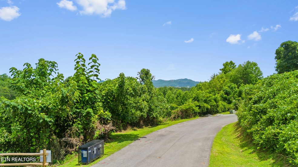 LOT 42 Pine Peak Way, Pigeon Forge, TN 37862 - photo 1