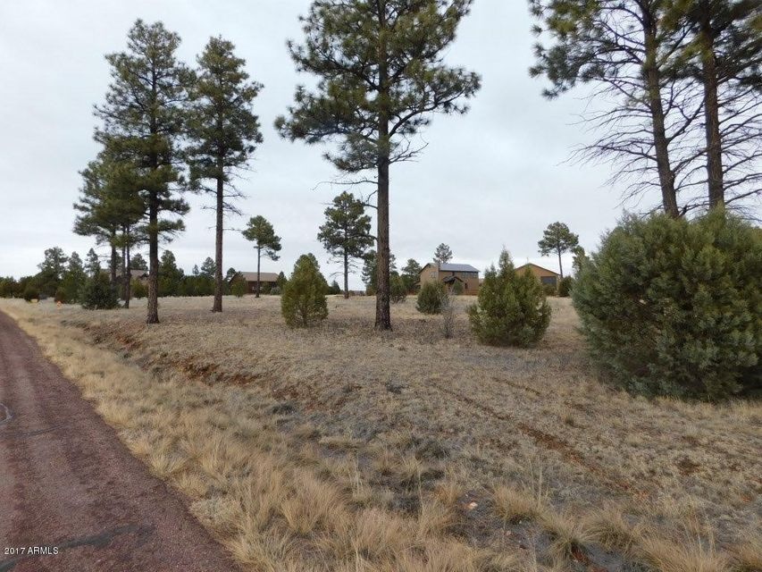 2741 Skyhawk Dr (1)