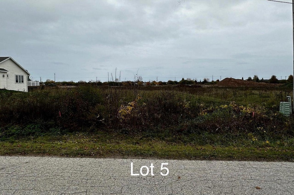 lt5