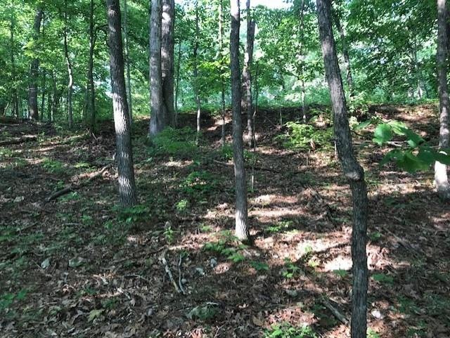 0 Burghley Ln unit 1119724, Bella Vista, AR 72714 - photo 1