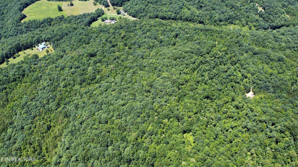 Photo Jul 10 2023, 2 15 04 PM