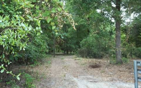 1893 Loncala Loop, Fort White, FL 32038 - photo 1