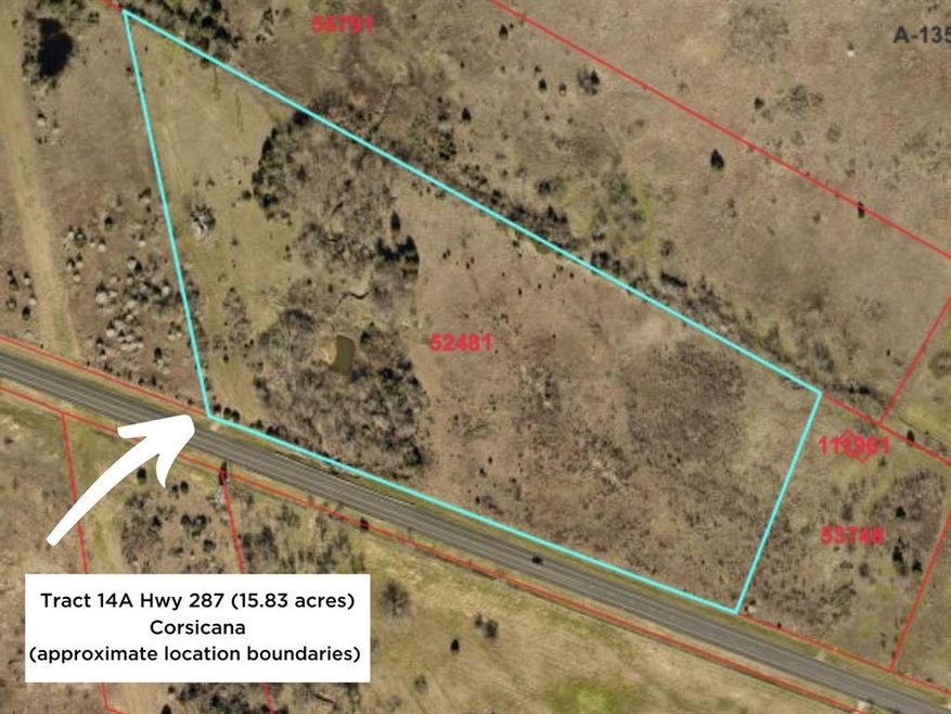 Lot 14A Highway 287, Corsicana, TX 75109 - photo 1