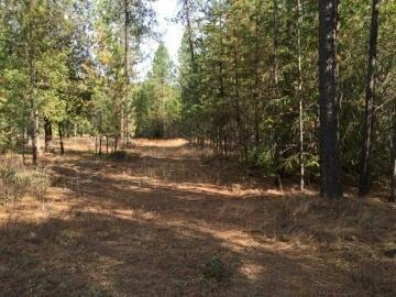 001 Immel Rd, Chewelah, WA 99109 - photo 1