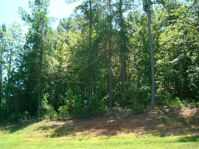 Lot 60 Butternut Ln, Denver, NC 28037 - photo 1
