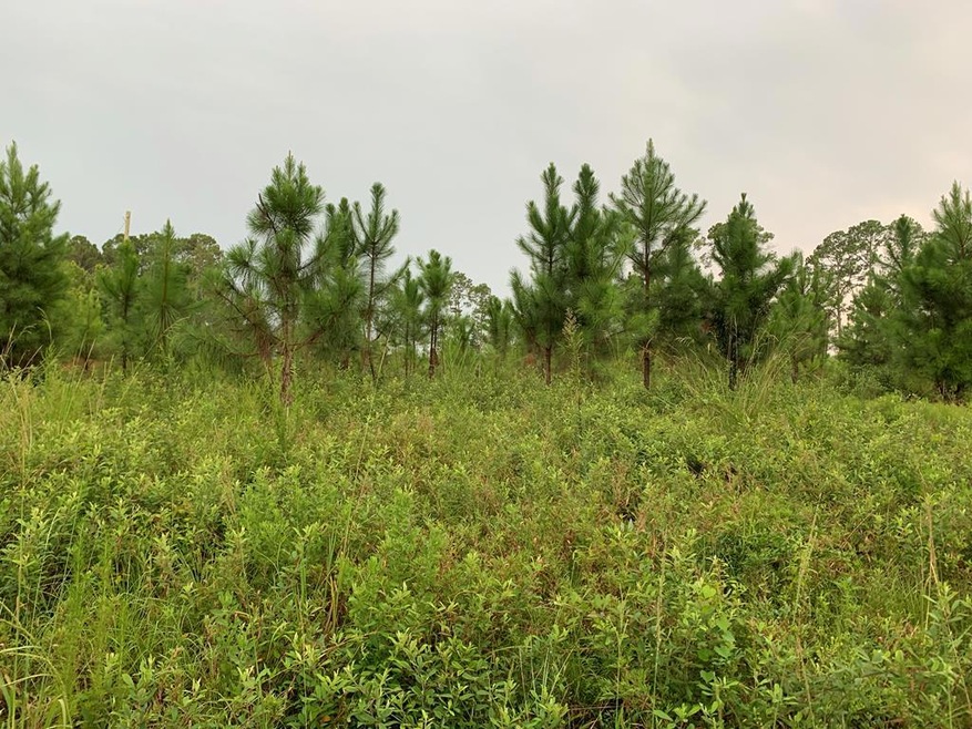 00 Dr, Douglas, GA 31533 - photo 1