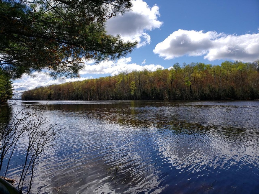End of Sanctuary Rd, Tomahawk, WI 54487 - photo 1