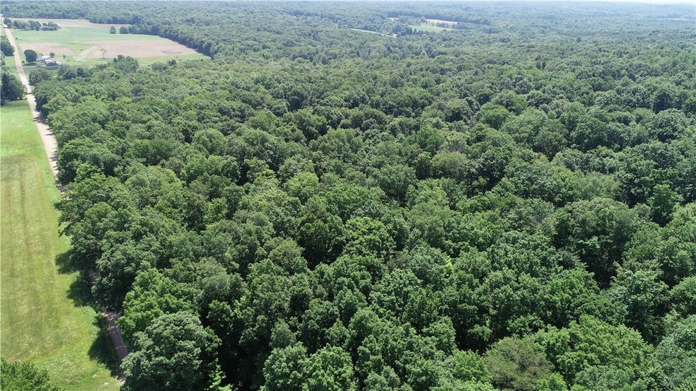 0 Agnew Rd, Conneautville, PA 16406 - photo 1