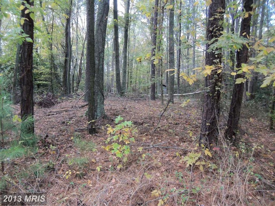 0 Latane Dr unit 1003757288, Colonial Beach, VA 22443 - photo 1