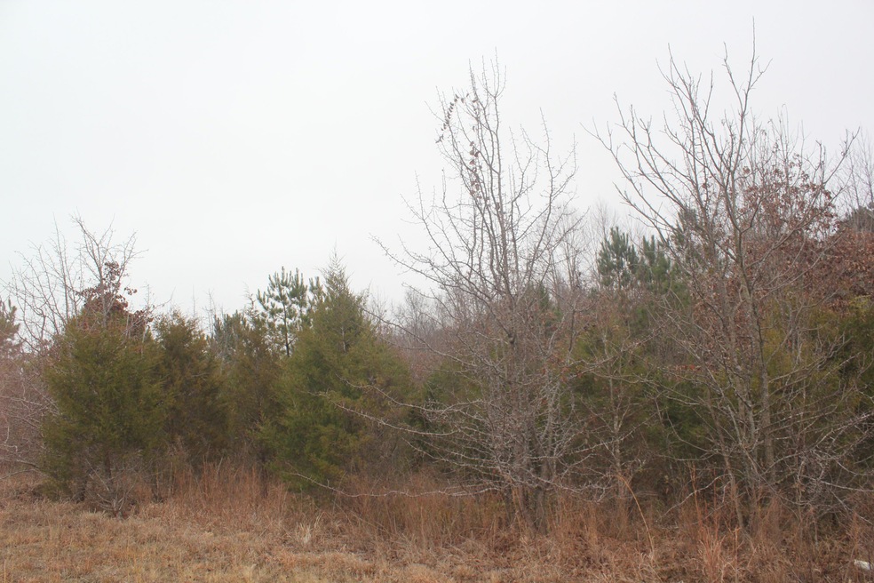 78 Bennett Cir, Byhalia, MS 38611 - photo 1