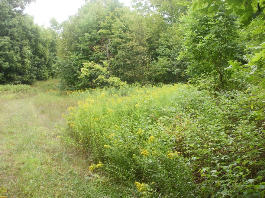 P6051534